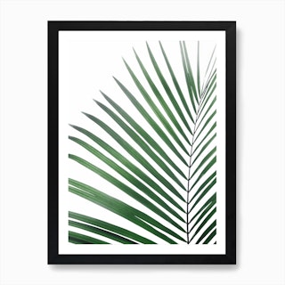 Palm Leaf Green Art Print