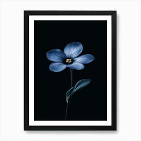 Dark Blue Flower Art Print