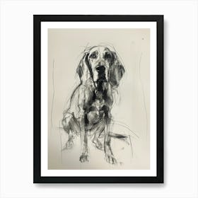 American English Hound Dog Charcoal Line 1 Art Print