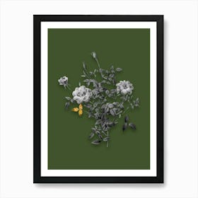 Vintage Dwarf Rosebush Black and White Gold Leaf Floral Art on Olive Green n.0731 Art Print