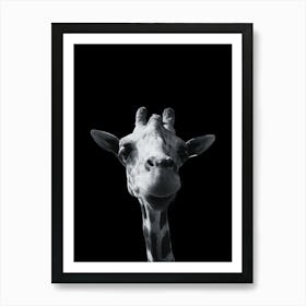 Giraffe 2 Art Print