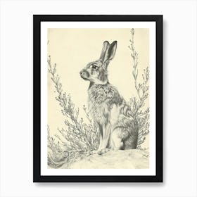 Silver Fox Rabbit Drawing 3 Art Print