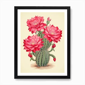 Vintage Cactus Illustration Mammillaria Cactus Art Print