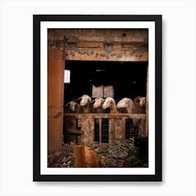 Greek Sheep Art Print