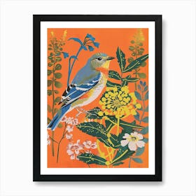 Spring Birds Eastern Bluebird 1 Art Print