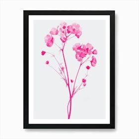 Hot Pink Babys Breath 2 Poster