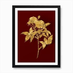 Vintage Van Eeden Rose Botanical in Gold on Red n.0130 Art Print