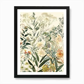 Botanicals Art Print