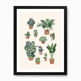 Plants Collection 5 Art Print