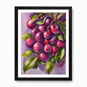 Plums On A Branch Art Print