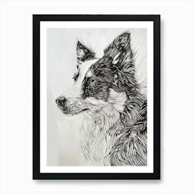 Icelandic Sheepdog Line Art 3 Art Print