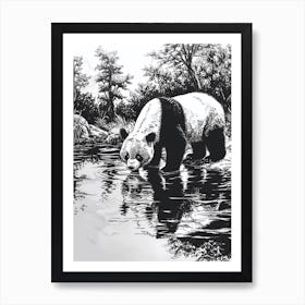 Giant Panda Drinking From A Tranquil Lake Ink Illustration 2 Art Print