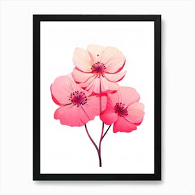 Pink Poppy Flower Vector Illustration Art Print