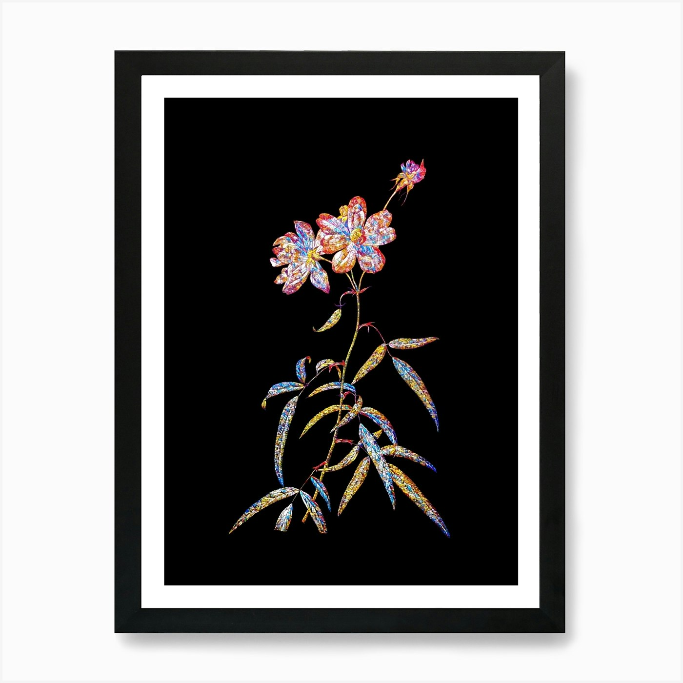 Peach Blossom Print, Flower Art, Botanical Illustration, Wall Art