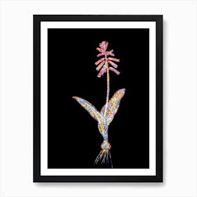 Stained Glass Lachenalia Pendula Mosaic Botanical Illustration on Black n.0263 Art Print