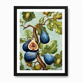 Figs Illustration 3 Art Print