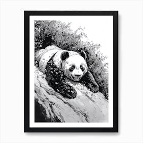 Giant Panda Cub Sliding Down A Hill Ink Illustration 1 Art Print