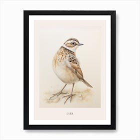 Vintage Bird Drawing Lark 2 Poster Art Print