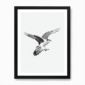 Osprey B&W Pencil Drawing 1 Bird Art Print