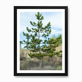 Pine Tree 20211128 188ppub Art Print