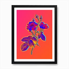 Neon Anemone Centuries Rose Botanical in Hot Pink and Electric Blue Art Print