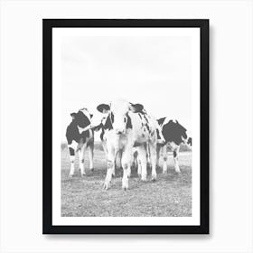 Group Of Baby Cows Art Print