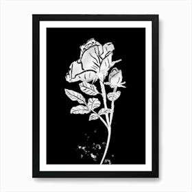 White Rose line drawing on black background 1 Art Print