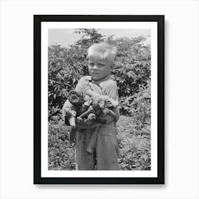 Untitled Photo, Possibly Related To Son Of Day Laborer With Load Of Wood In His Arms, Near Webber Falls, Muskoge Art Print