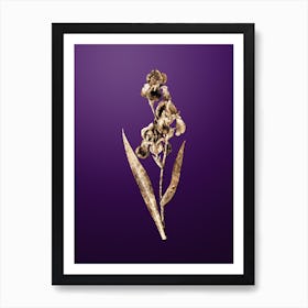 Gold Botanical Dalmatian Iris on Royal Purple n.0251 Art Print
