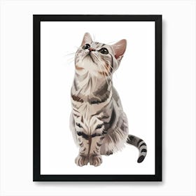 American Shorthair Cat Clipart Illustration 4 Art Print