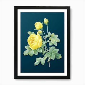 Vintage Yellow Rose Botanical Art on Teal Blue n.0686 Art Print