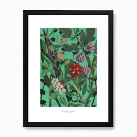 Botanical Garden poster, 30x40cm Art Print