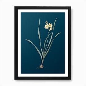Vintage Gladiolus Lineatus Botanical Art on Teal Blue Art Print