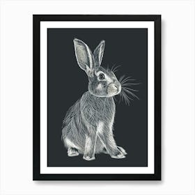 English Lop Rabbit Minimalist Illustration 4 Art Print