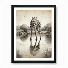 Giraffe In Water Art Print