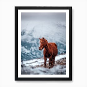 Horse On A Snow Mountain Art Print