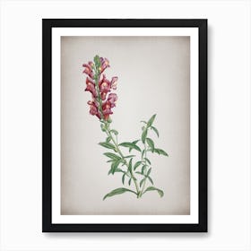 Vintage Red Dragon Flowers Botanical on Parchment n.0860 Art Print