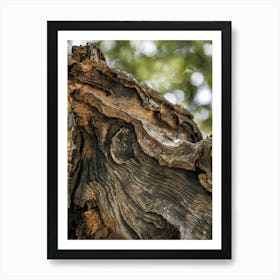 Rustic Harmony
A close-up shot of richly textured tree bark, showcasing organic lines and natural beauty. Ideal for living rooms or creative spaces, adding warmth and rustic charm. Art Print