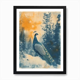 Orange & Blue Peacock In A Snow Scene 4 Art Print