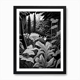 University Of British Columbia Botanical Garden, Canada Linocut Black And White Vintage Art Print