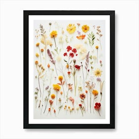 Pressed Flower Botanical Art Wildflowers 1 Art Print