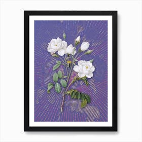 Vintage White Rose Botanical Illustration on Veri Peri n.0911 Art Print