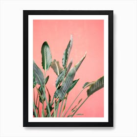 Pink Jungle Art Print