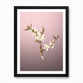 Gold Botanical Almond Tree Flower on Rose Quartz n.4661 Art Print