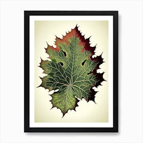 Maple Leaf Vintage Botanical 2 Art Print