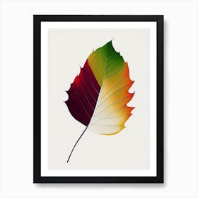 Sycamore Leaf Abstract 4 Art Print