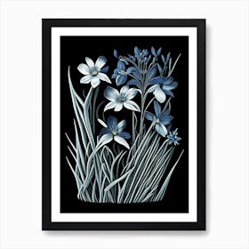 Blue Eyed Grass Wildflower Linocut Art Print