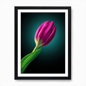 A tulip. Art Print