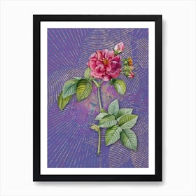 Vintage Pink Francfort Rose Botanical Illustration on Veri Peri n.0446 Art Print
