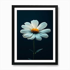 Daisy 18 Art Print